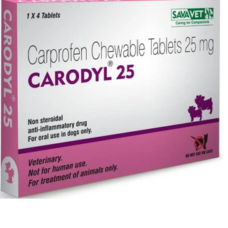 🐶 Carodyl (Caprofen): 25MG, 75MG & 100MG