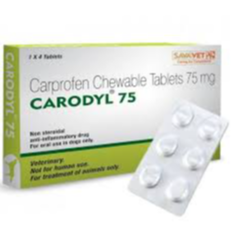 🐶 Carodyl (Caprofen): 25MG, 75MG & 100MG