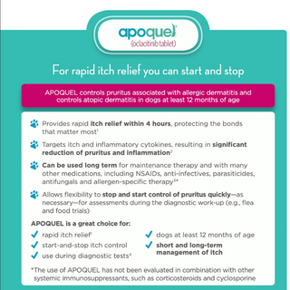 🐶 Apoquel 16MG
