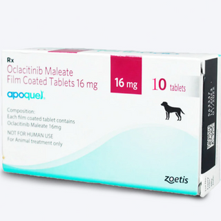 🐶 Apoquel 16MG