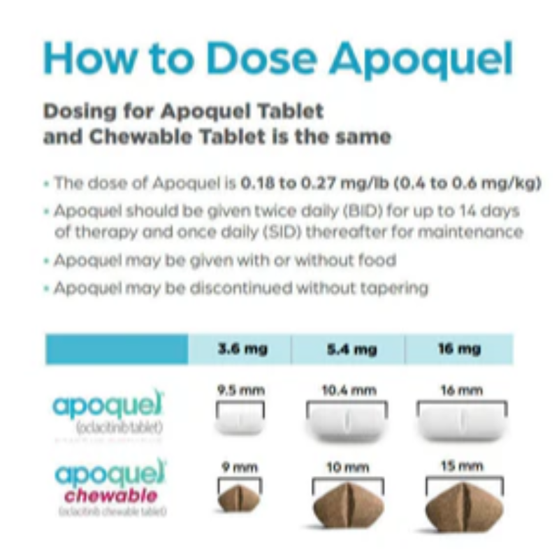 🐶 Apoquel 16MG
