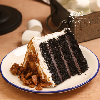 NEW Campfire S'mores Cake