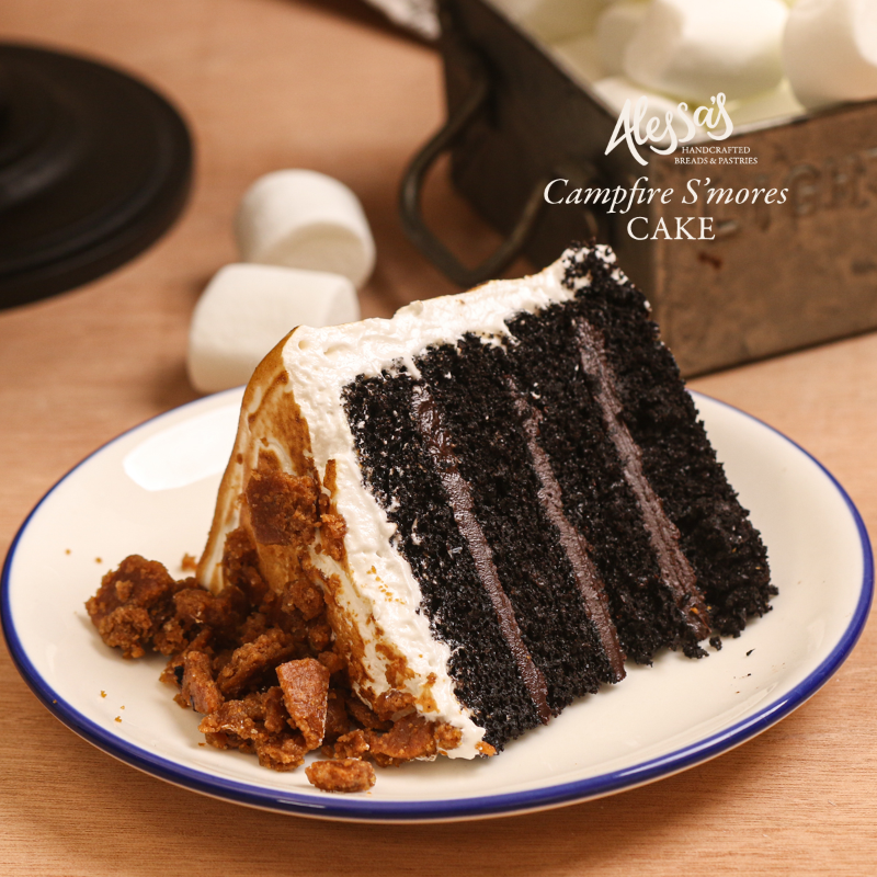 NEW Campfire S'mores Cake
