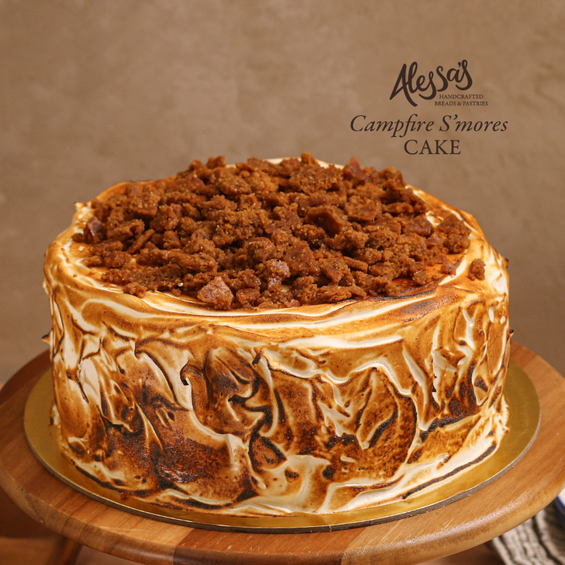 NEW Campfire S'mores Cake