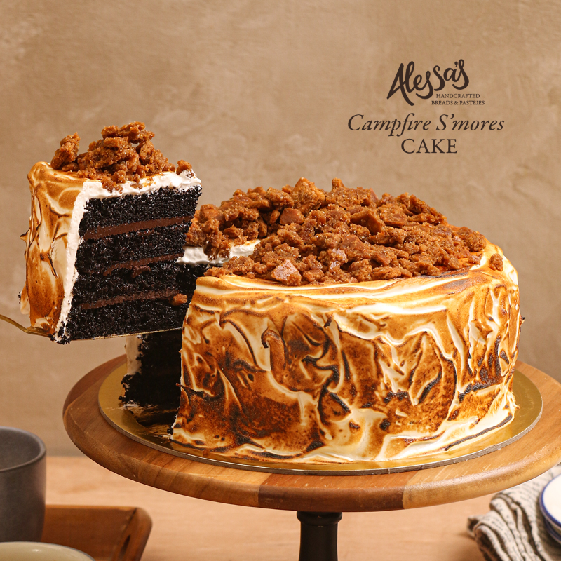 NEW Campfire S'mores Cake