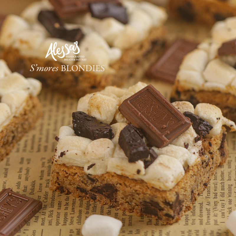 S'mores Blondies Box of 12 Main Image