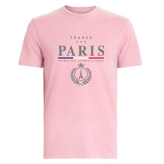 TSH020 - T SHIRT PINK PARIS CROWN BRODE