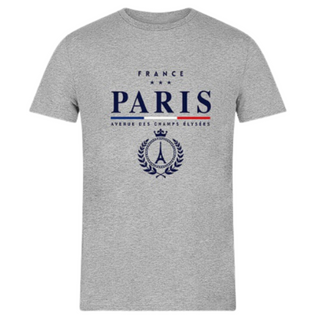 TSH021 - T SHIRT GRAY PARIS CROWN BRODE