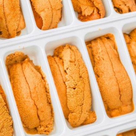 Frozen Sea Urchin 冷凍海膽