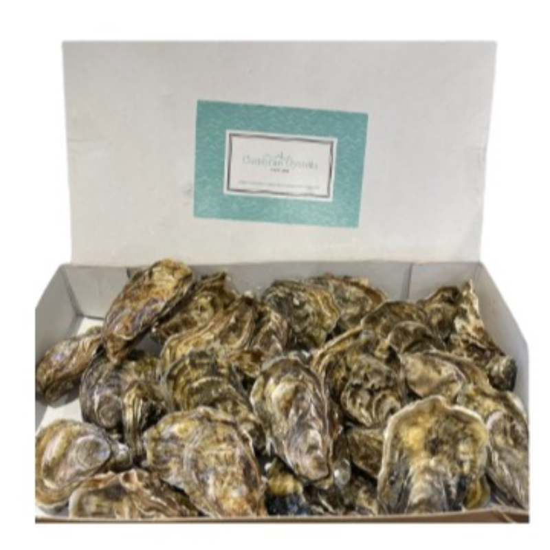 ⭐️ 蘇格蘭 Cumbrae 生蠔 25隻