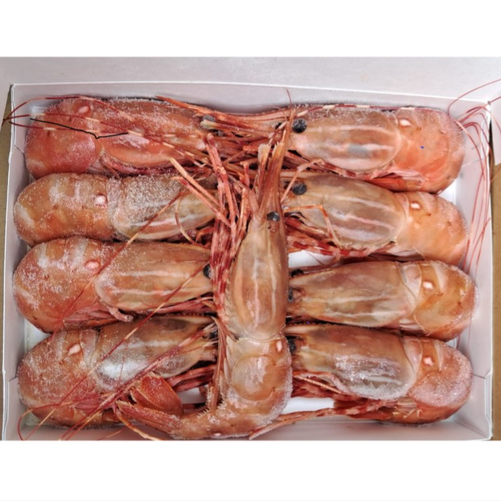 1kg 特大急凍牡丹蝦 Spot Prawns 