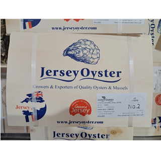 Jersey 生蠔