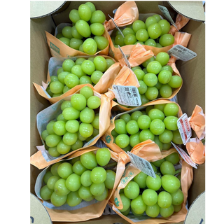 長野/山梨縣 香印提子 (1串)Nagano/Yamanashi Prefecture Shino Grapes (1 bunch)