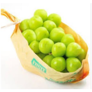 長野/山梨縣 香印提子 (1串)Nagano/Yamanashi Prefecture Shino Grapes (1 bunch)