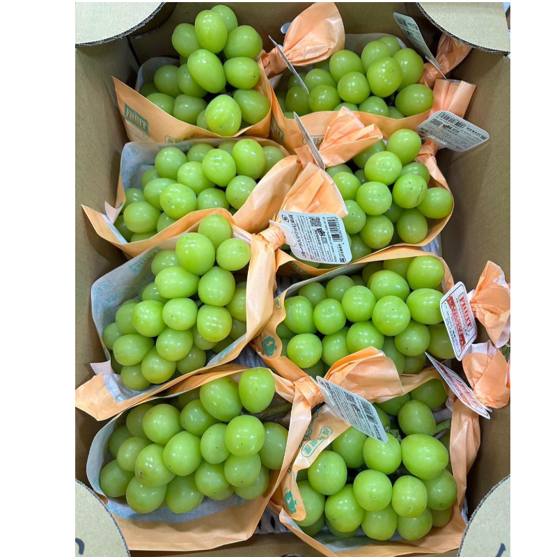 長野/山梨縣 香印提子 (1串)Nagano/Yamanashi Prefecture Shino Grapes (1 bunch)