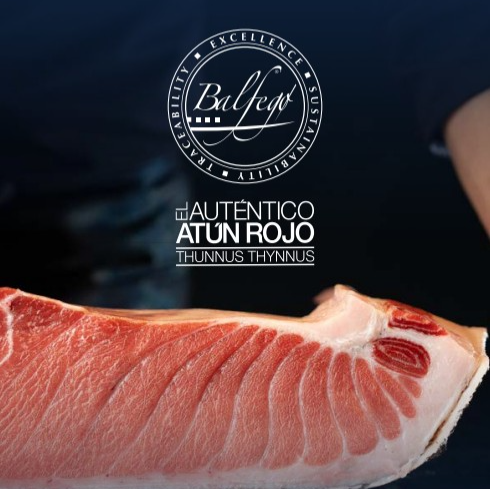 200 Balfegó Bluefin Otoro 新鮮藍鰭大拖羅<粗筋>
