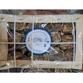 🔥🔥 Bluesail Les Viviers du Becquet