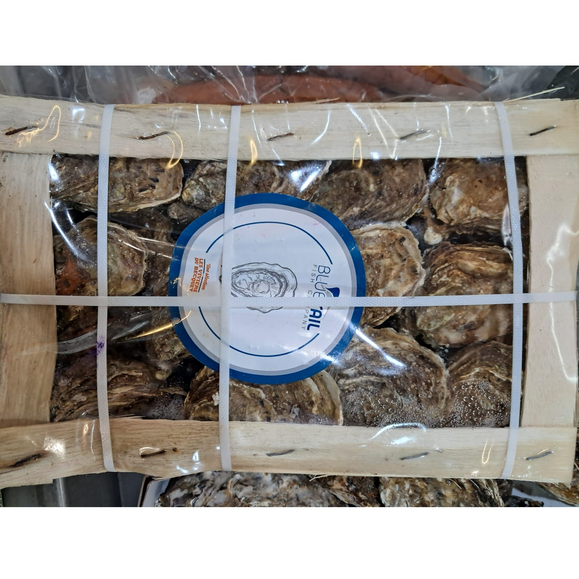 🔥🔥 Bluesail Les Viviers du Becquet