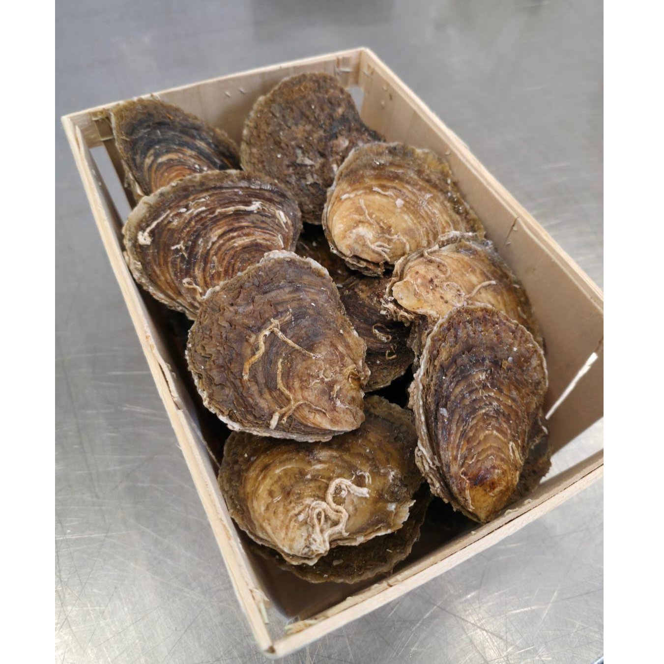 🔥Whitstable 野生生蠔 12隻