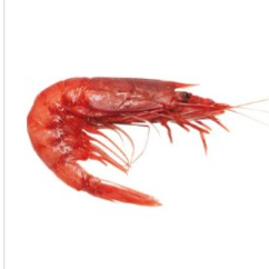 Rosso Di Mazara Gambero Rosso M Size