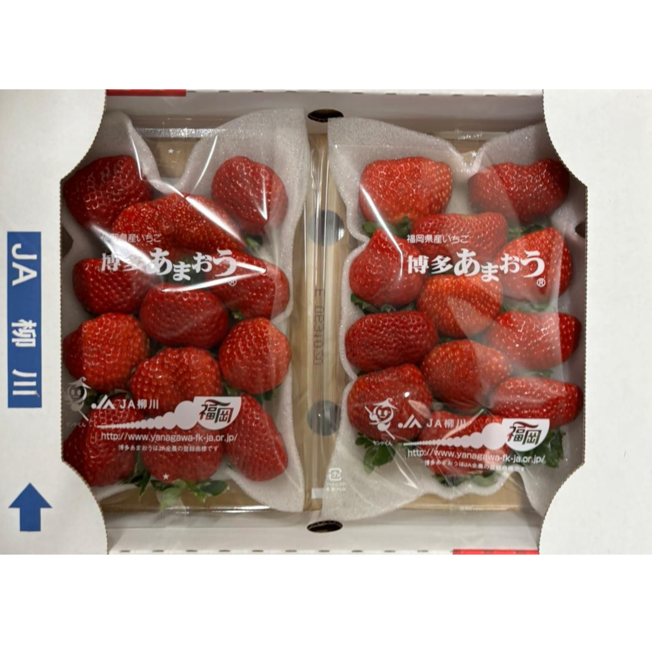 Strawberry 甜王草莓
