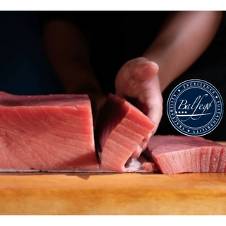 250 Balfegó Bluefin Chu toro 新鮮藍鰭中拖羅