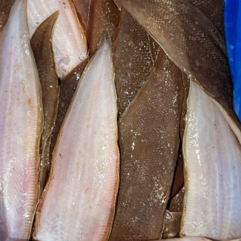 KG 撻沙仔 Small Sole Fish