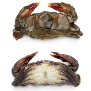 Soft Shell Crab 2 pcs