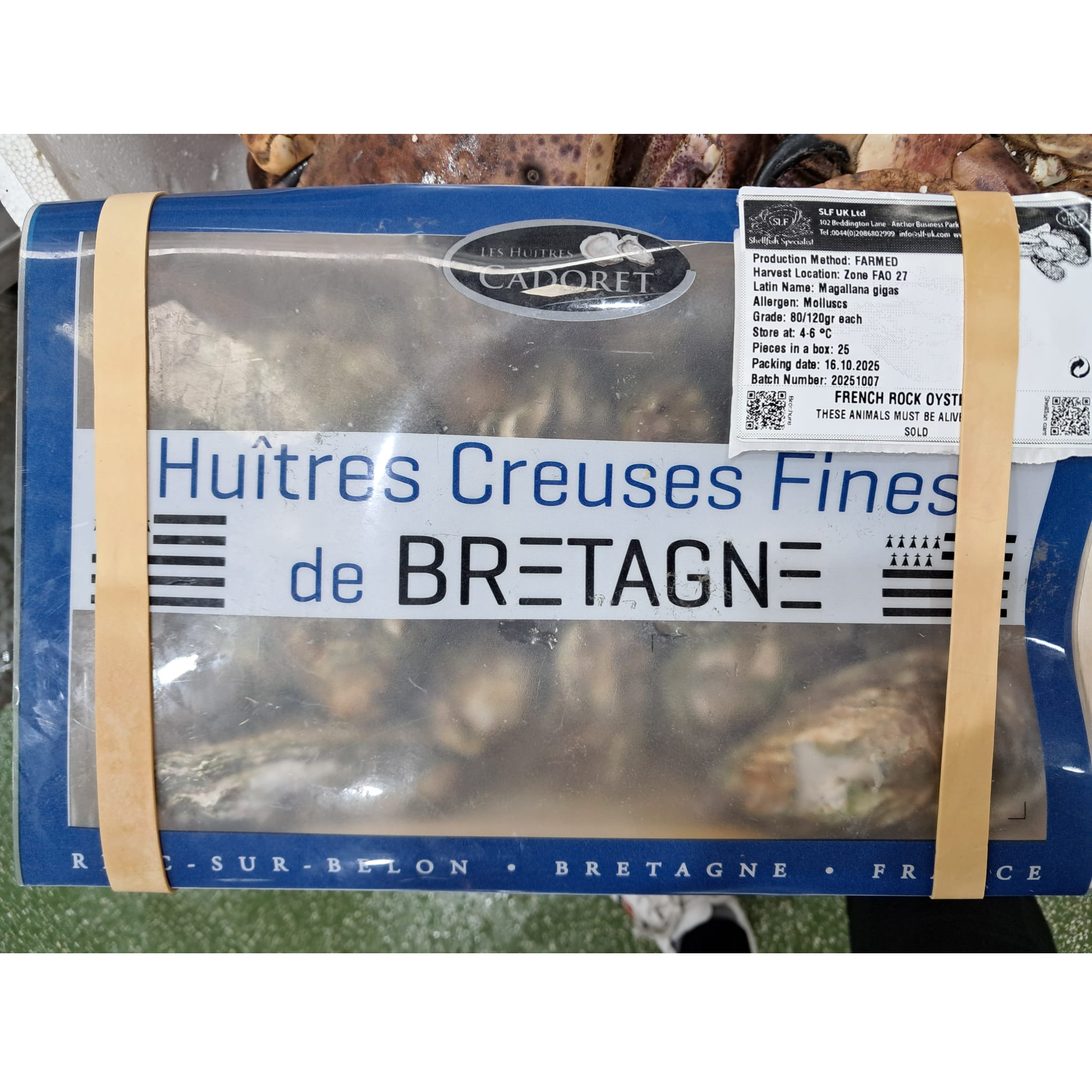 🔥🔥 法國布列塔尼生蠔 Huîtres Creuses Fines de Bretagne