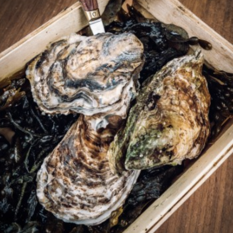 Richard Haward XL 生蠔 25隻