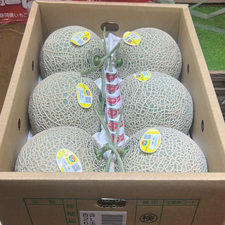 靜岡蜜瓜 Shizuoka melon