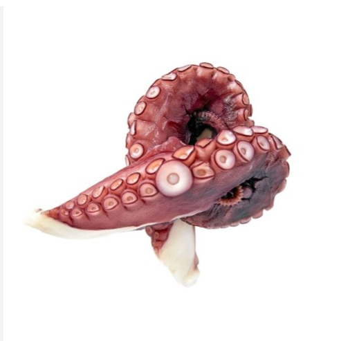 特大熟八爪魚腳 Octopus Tentacles