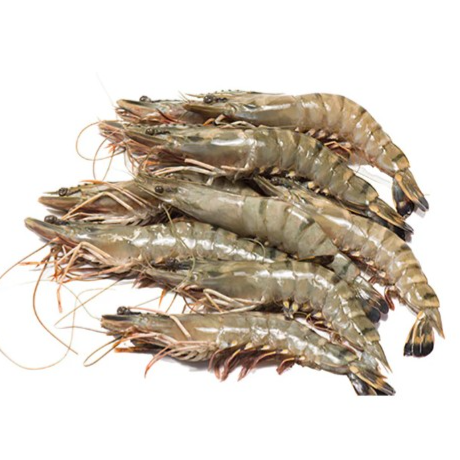 🫕有頭虎蝦/ Tiger shrimp