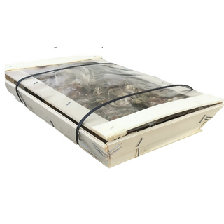 法國 Utah beach 生蠔 12隻