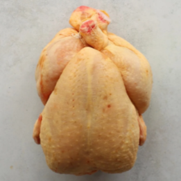 France Corn-fed Whole Chicken 