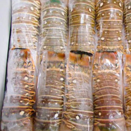 200g 急凍龍蝦尾 Lobster Tail 