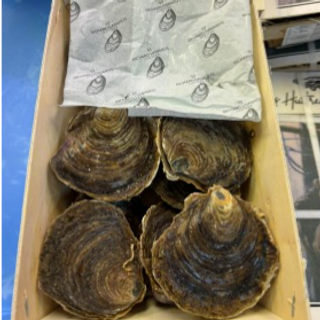 Seafood 優質海產 (需預訂)