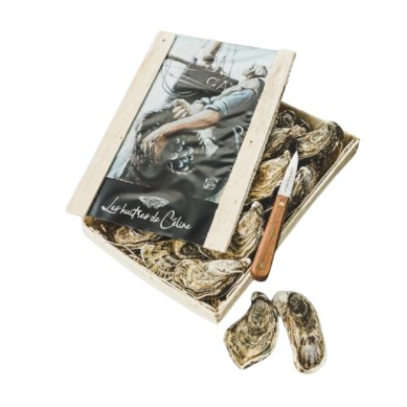 ⭐️法國 Céline 生蠔 24隻