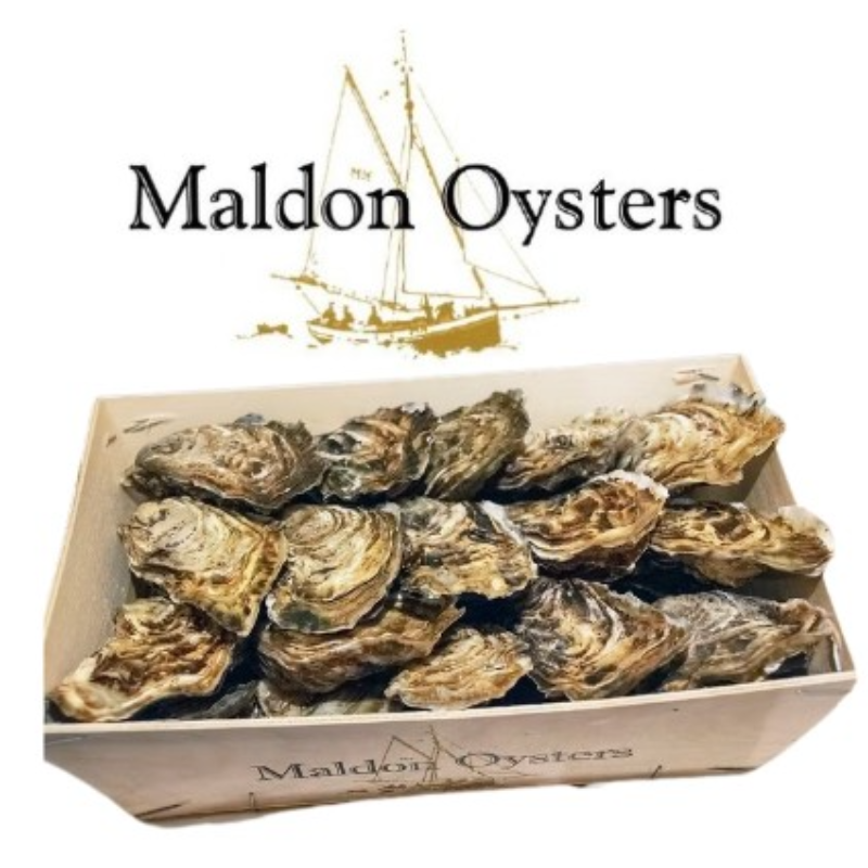 Maldon 生蠔 25隻