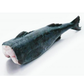 Whole Black Cod  原條銀雪魚 