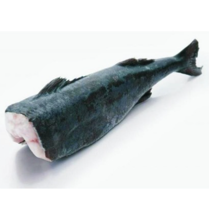 Whole Black Cod  原條銀雪魚 