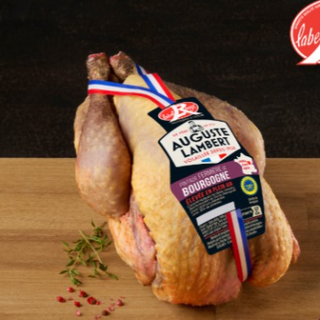 KG法國珍珠雞 France Guinea Fowl