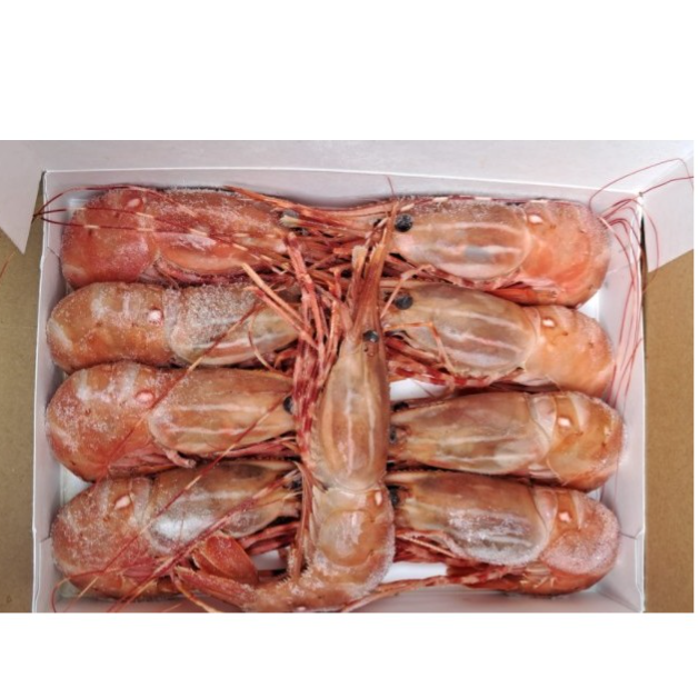 🍊特大牡丹蝦 Botan Ebi