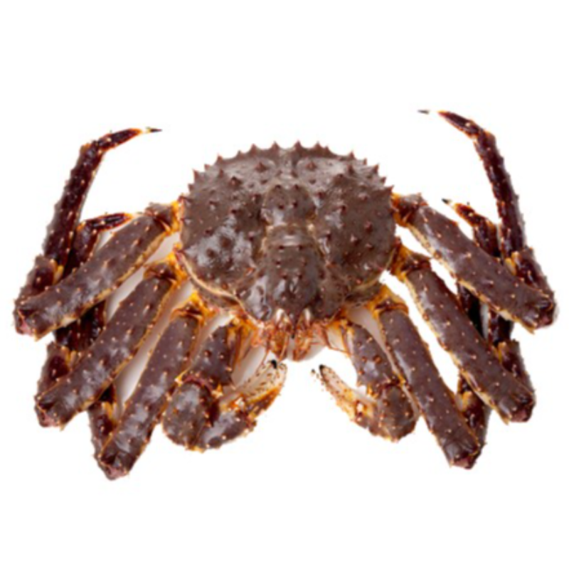  KG 挪威帝王蟹 King Crab 