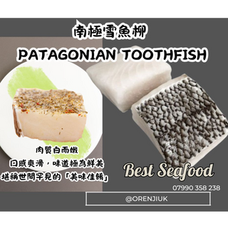 Frozen Seafood 冷凍海產