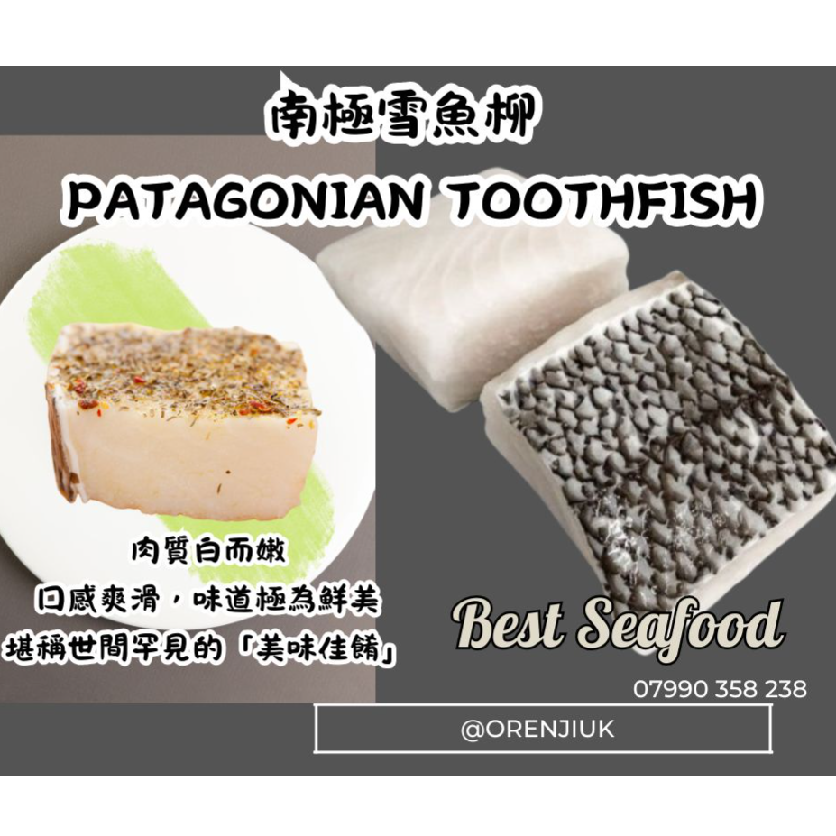 米芝蓮廚師推介👨🏻‍🍳南極雪魚柳  Patagonian toothfish