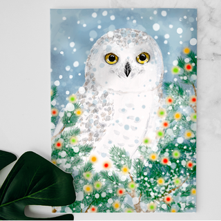 Carte Harfang des neiges