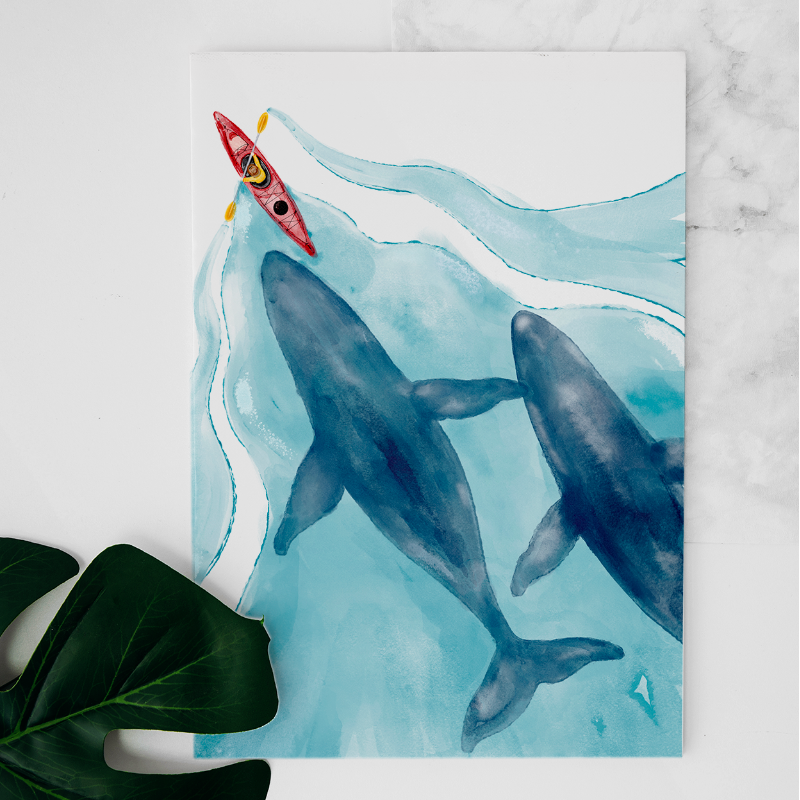 Carte Kayak sur le Saint-Laurent