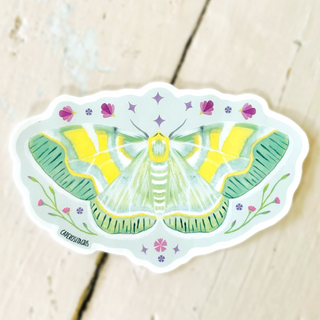 Sticker Iotaphora moth