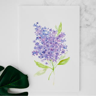 Carte Lilas